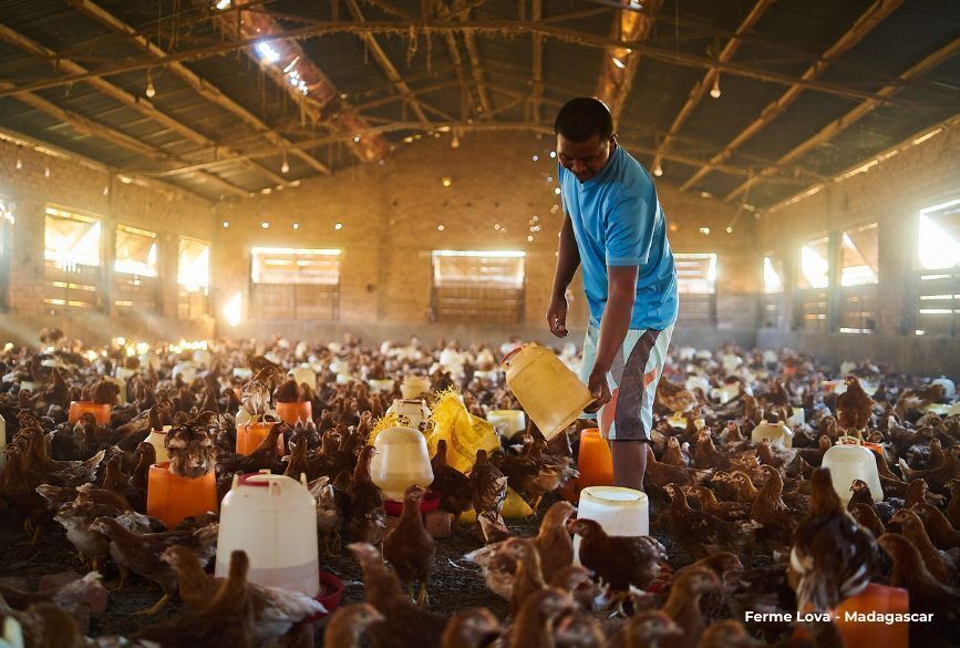 Ferme Lova - Madagascar